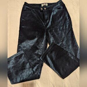 54. Free People We the Free Teal Velvet Pants Size 29